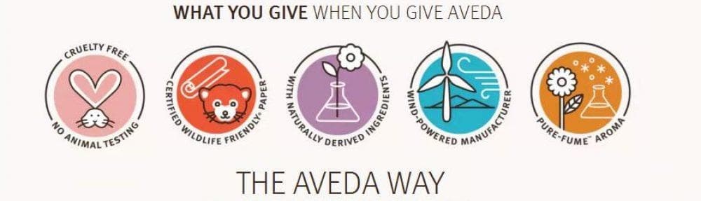 ¡Descubre el nuevo lanzamiento de AVEDA! SCALP SOLUTIONS - Imagen 4