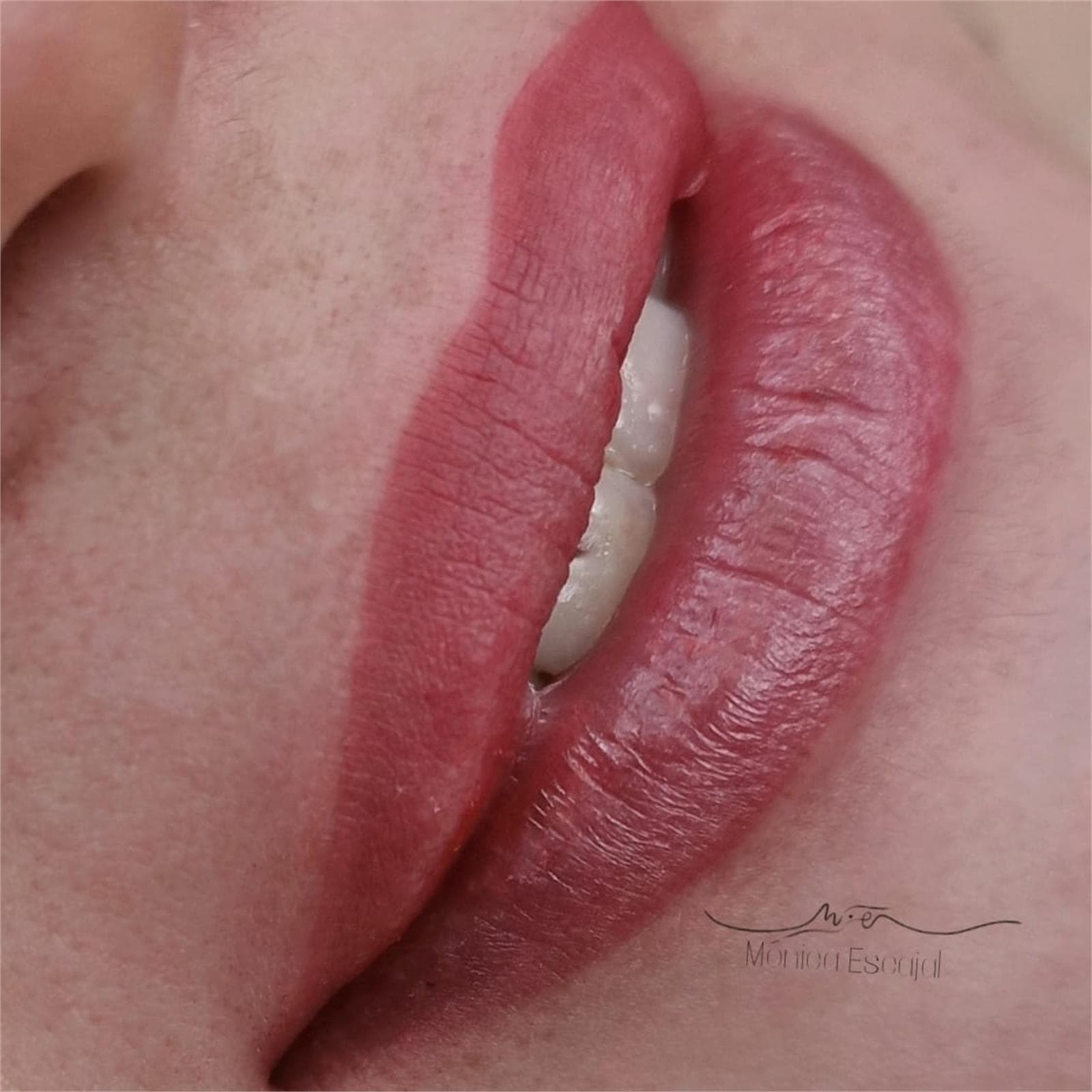 Micropigmentación: 9 enero - Imagen 4